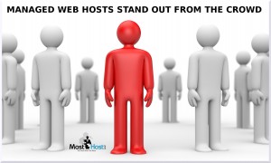 Managed Web Hosts Stand Out From The Crowd