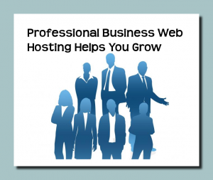 Professional Business Web Hosting Helps You Grow Online